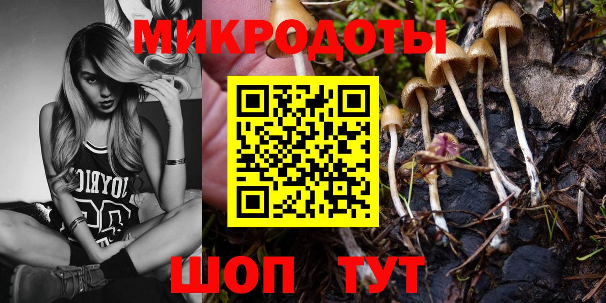 Самара  Галлюциногенные грибы Psilocybine cubensis  Вход с VPN 